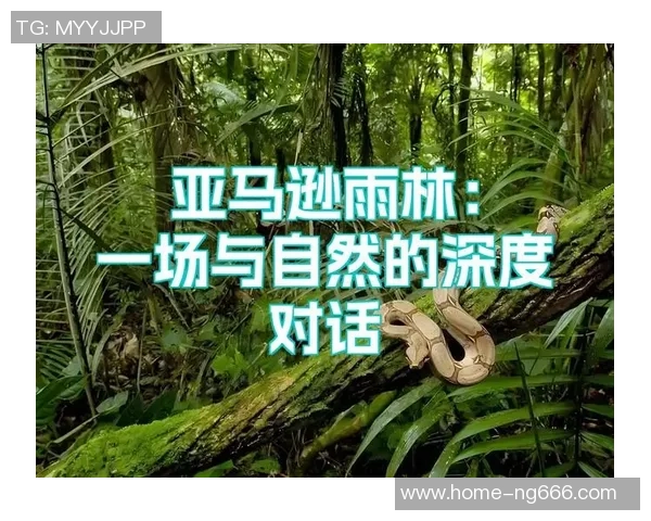 张芳的羽毛球人生：从热爱到巅峰的深度对话与心路历程