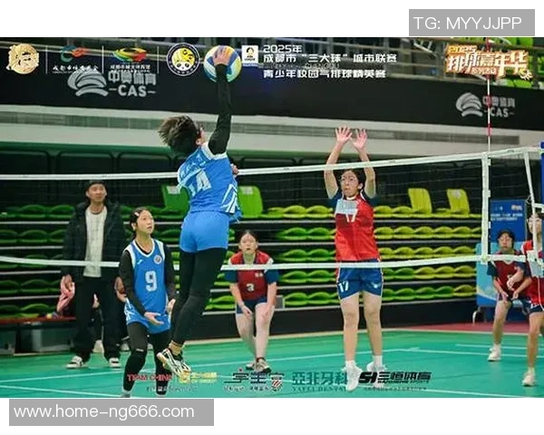 成都排球队的节奏揭秘：深度解析排球运动的魅力与技巧