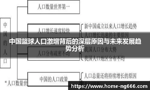 中国篮球人口激增背后的深层原因与未来发展趋势分析