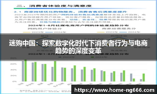 迷购中国：探索数字化时代下消费者行为与电商趋势的深度变革